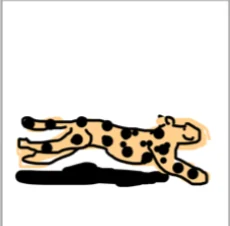 Second cheetah drawing, spots added